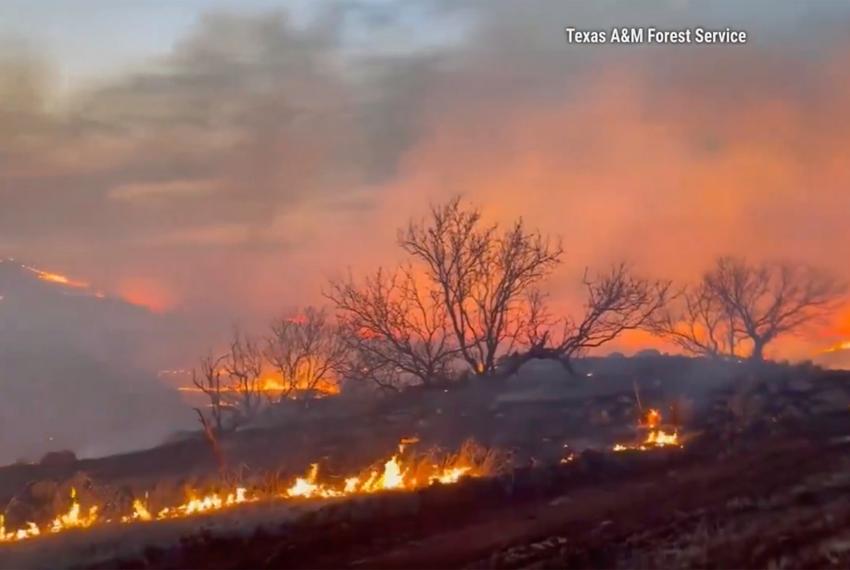 Wildfires have erupted in the Texas Panhandle this week.