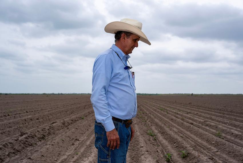 Mike England surveys a field on his farm near Mercedes on April 18, 2024. England had to destroy 500 acres worth of sugar cane he'd grown because of drought in the Rio Grande Valley.