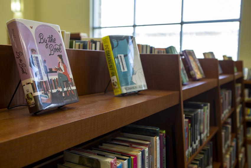 Books at Vandegrift High School's library on March 2, 2022.