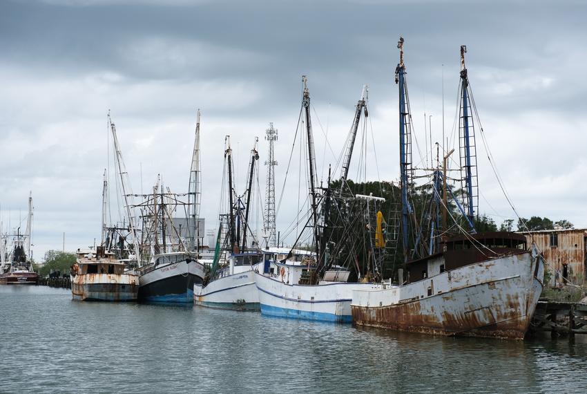 The Port of Brownsville Shrimp Basin, about 4.8 miles away from the Rio Grande LNG terminal.