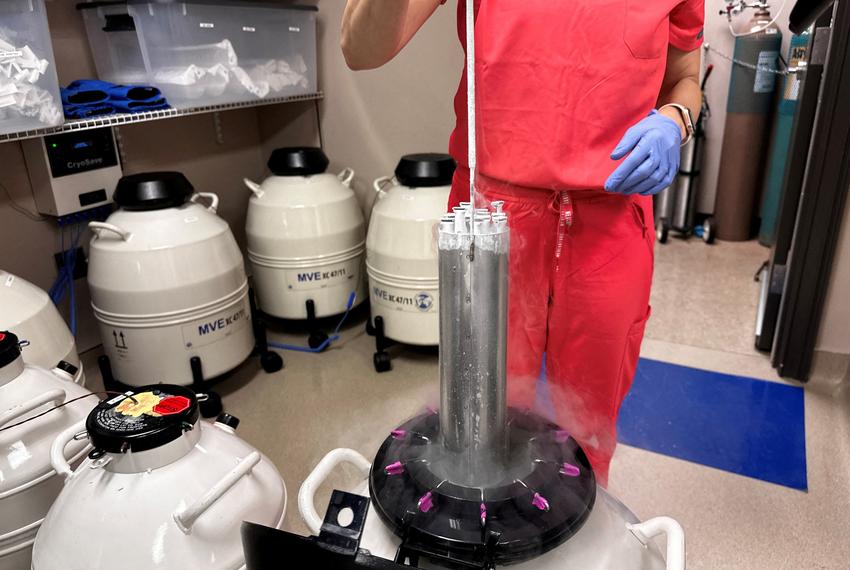 A nurse practitioner for Huntsville Reproductive Medicine, P.C., lifts frozen embryos out of IVF cryopreservation dewar in Madison, Alabama on March 4, 2024.