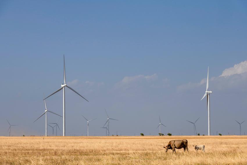 The Hale Wind Farm located outside of Petersburg and south of Plainview.