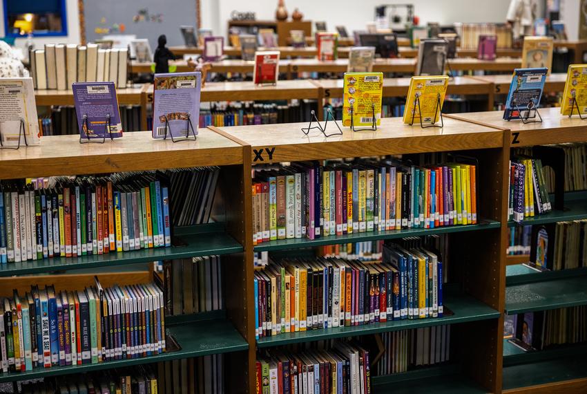 Shelves filled with books at a school library in San Marcos.