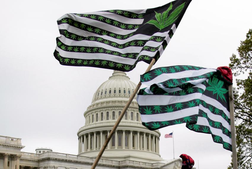 People in support of de-scheduling marijuana hold flags with images of marijuana leaves in front of the U.S. Capitol in Washington, D.C., on April 24, 2017.